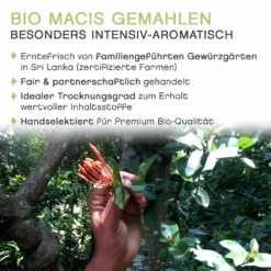Macis Muskatblüte Gemahlen, BIO, 100g 12 Macis Muskatblüte Gemahlen, BIO, 100g -Kaffeegetränkeladen 5120eb63c7a9dfb06e5f99e78d88e875